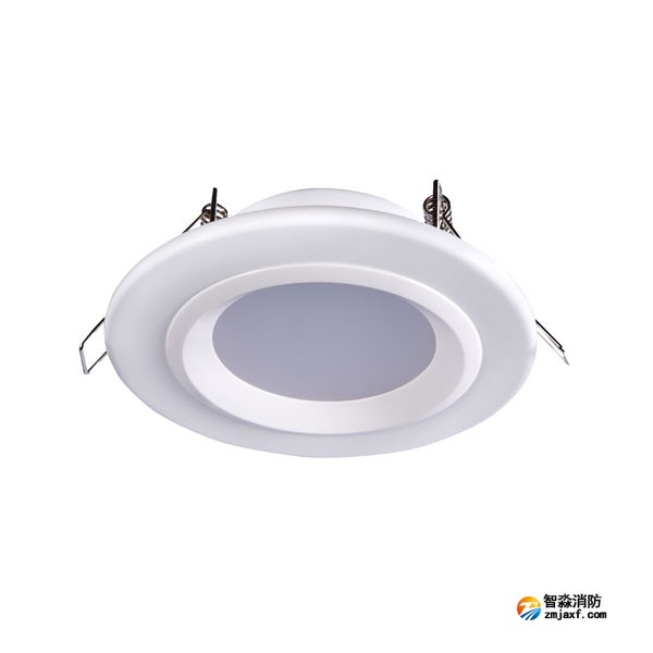 山西海湾HW-ZFJC-E6W-N621集中电源集中控制型消防应急照明灯具